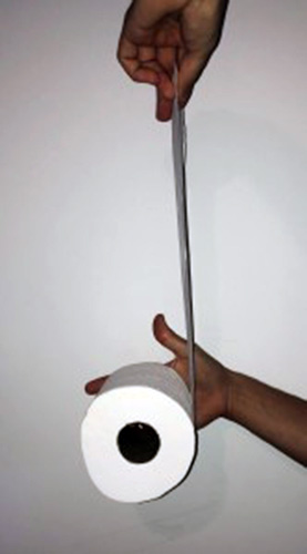 toilet paper vertical