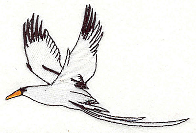 Embroidery Design: Tern 4.54w X 3.06h