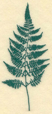 Embroidery Design: Large Fern B2.68w X 6.03h