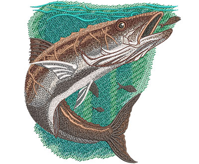 Embroidery Design: Cobia Lg 5.84w X 6.07h