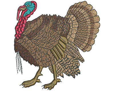 Embroidery Design: Gobbler L 4.01H X 3.84W