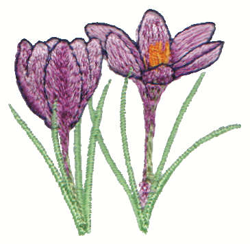 Embroidery Design: Crocus2.26" x 2.21"