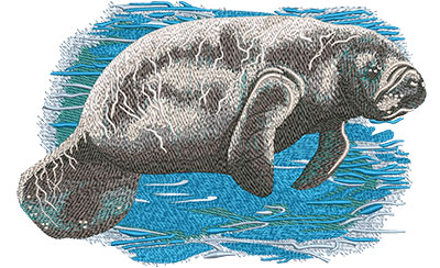 Embroidery Design: Manatee Lg8.01 w x 5.21 h