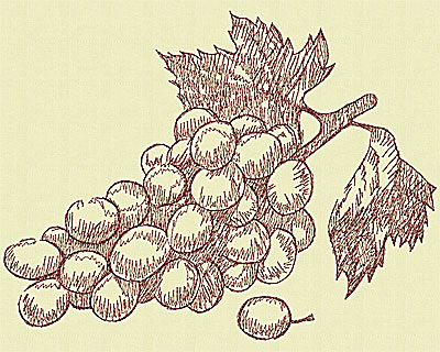 Embroidery Design: Winery grapes large 7.69w X 10.06h