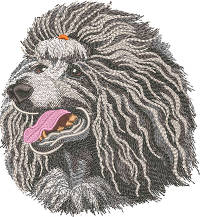 J-6983GrayPoodle_L