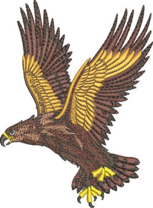 J-7050GoldenEagle_L