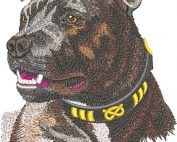 staffordshier bull terrier embroidery design