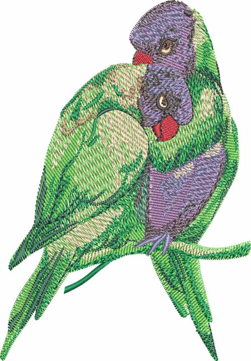 rainbow lorikeet embroidery design