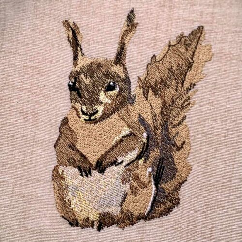 squirrel embroidery design