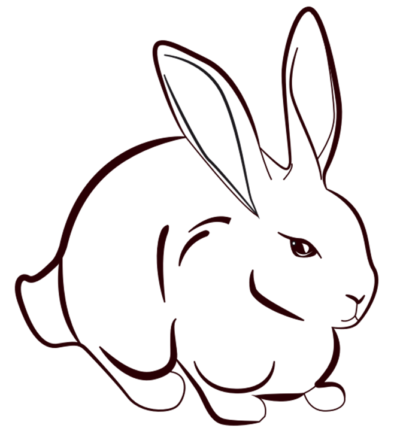 bunny artwork outline