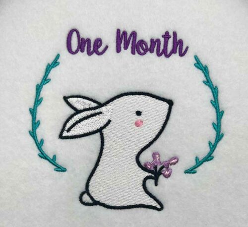 milestones 1 month embroidery design