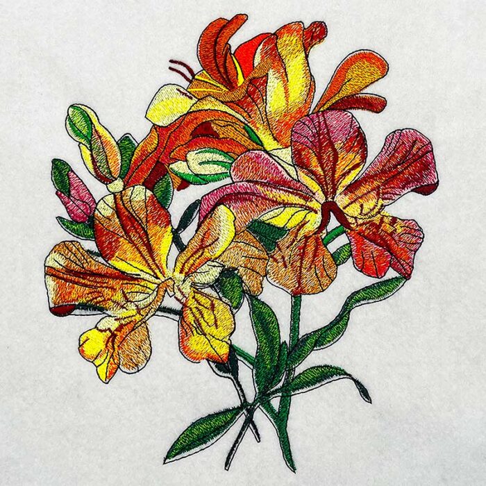 EL-Alstroemeria 3 embroidery design